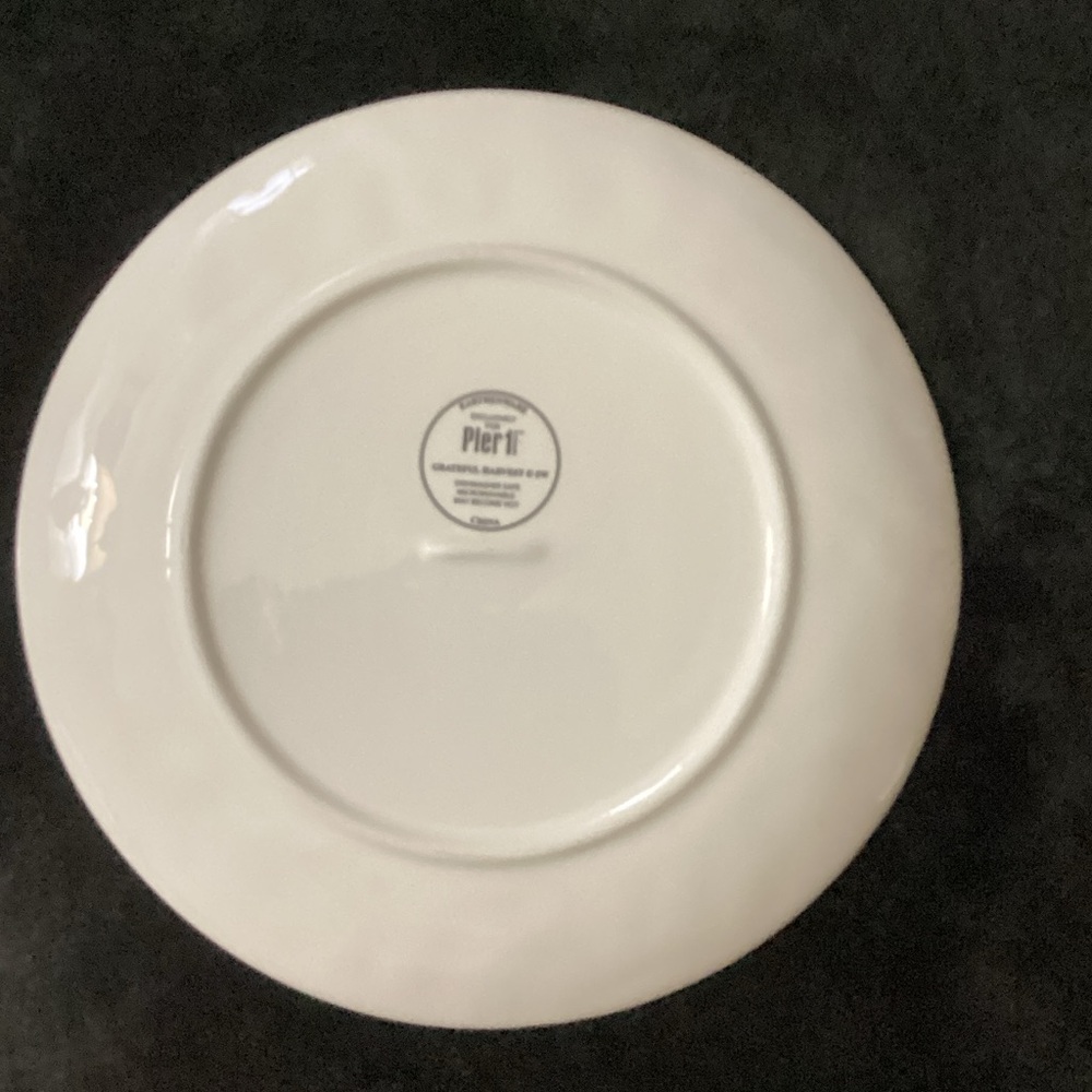 Pier 1 Grateful Harvest Earthenware Plate - Picture 6 of 7